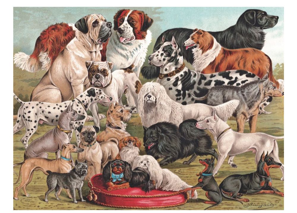 Dog Breeds - New York Puzzle Company puzzle collectible [Barcode 819844015084] - Main Image 2