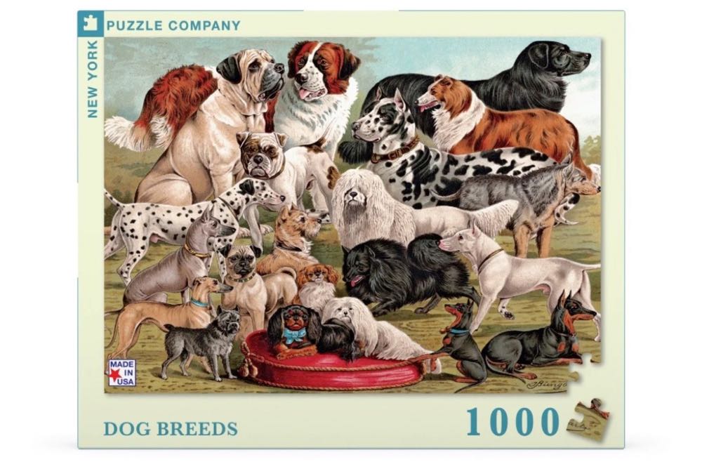Dog Breeds - New York Puzzle Company puzzle collectible [Barcode 819844015084] - Main Image 3