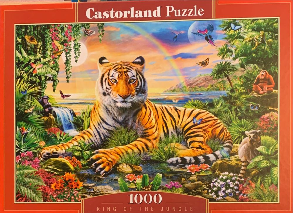 Fathers Christmas Train