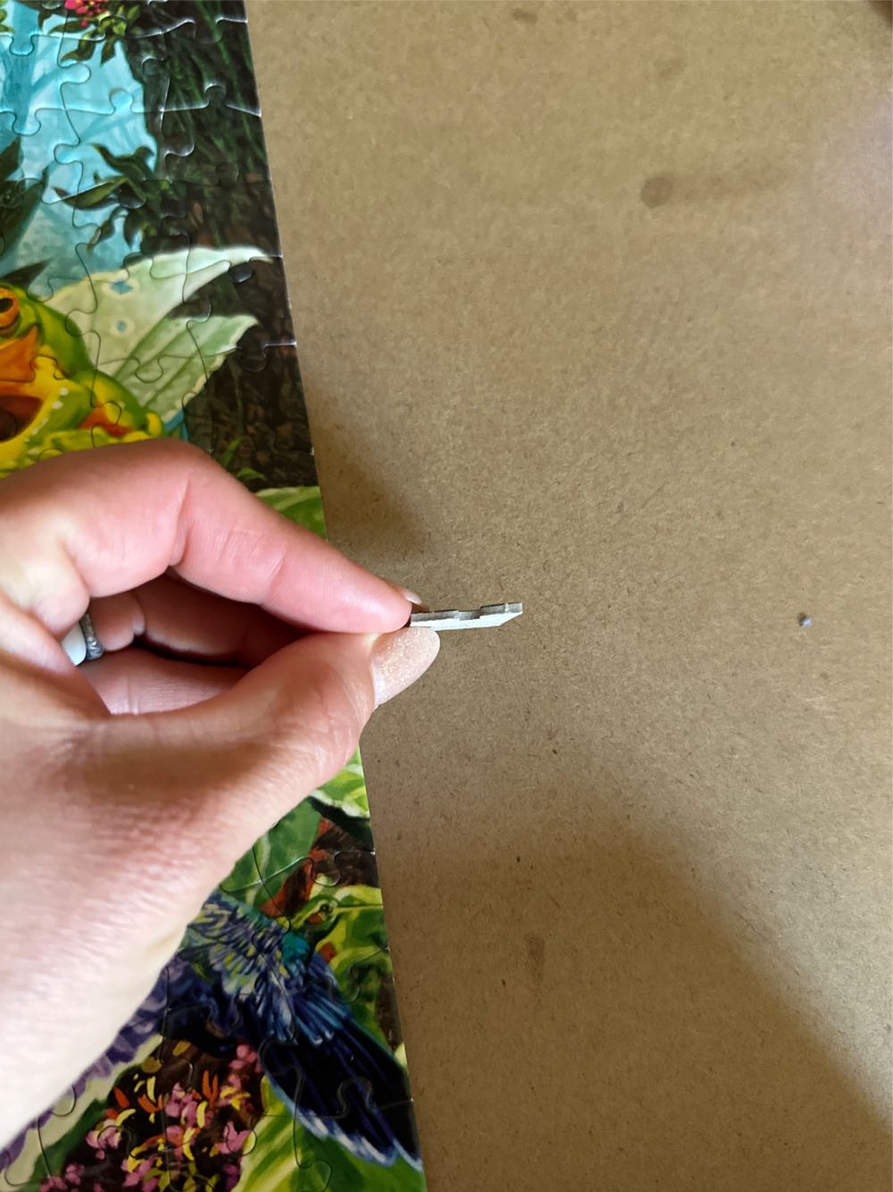 Hummingbird Garden - Buffalo puzzle collectible [Barcode 079346037896] - Main Image 4