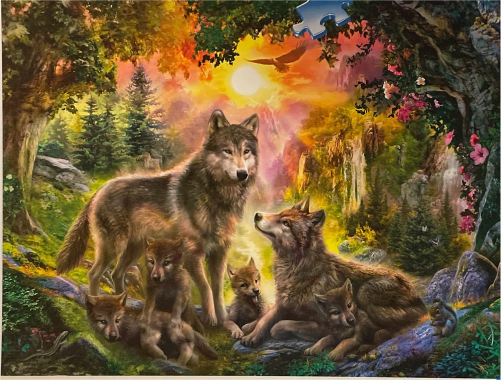 Wild Sauvage Salvaje Moose Cabin