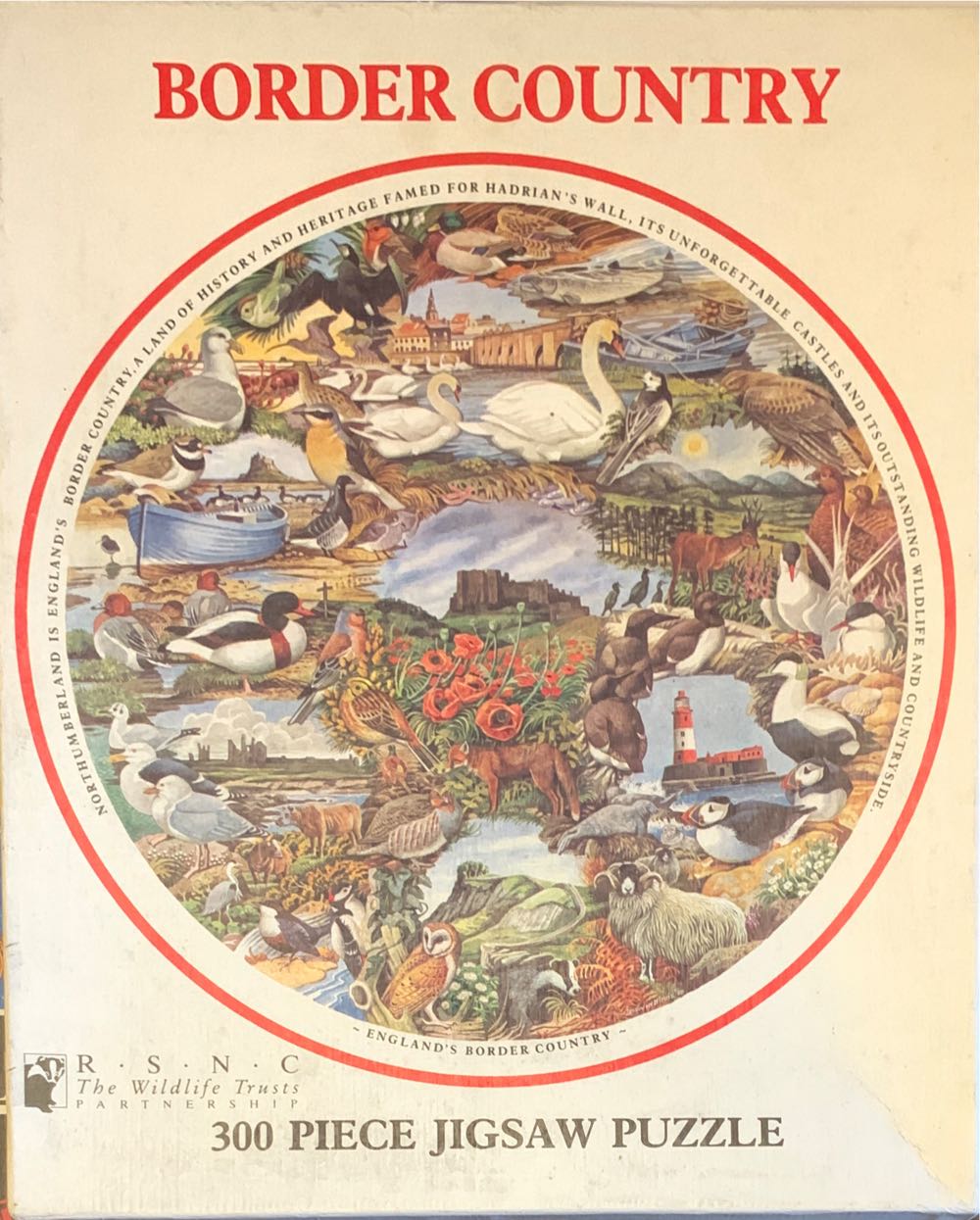 Educa Genuine Puzzles 2000 Pieces Steam Locomotive 18503