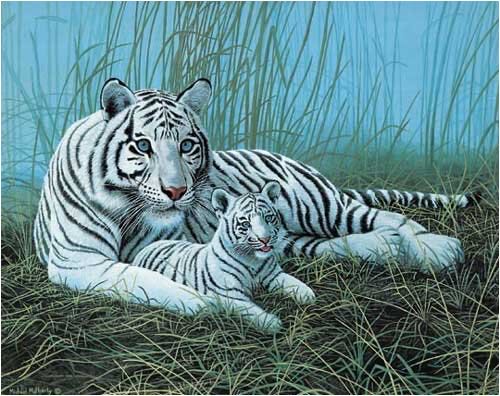 Littlebits Hall Of Fame Kit: Night Light New Littlebits