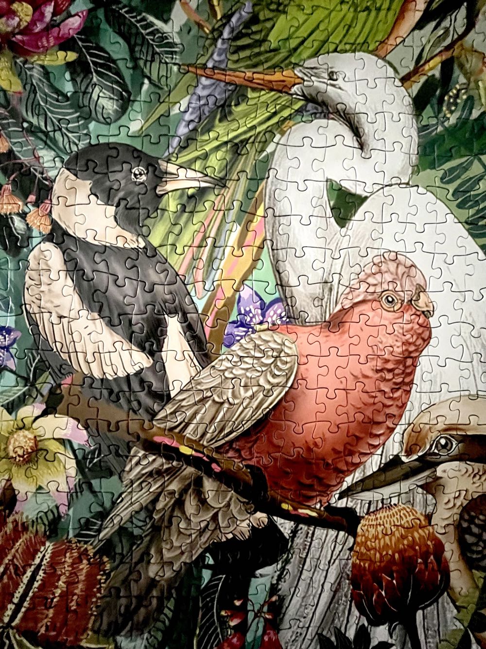 Floral Paradiso - LaLa Land 🇦🇺 puzzle collectible [Barcode 9342076039524] - Main Image 3
