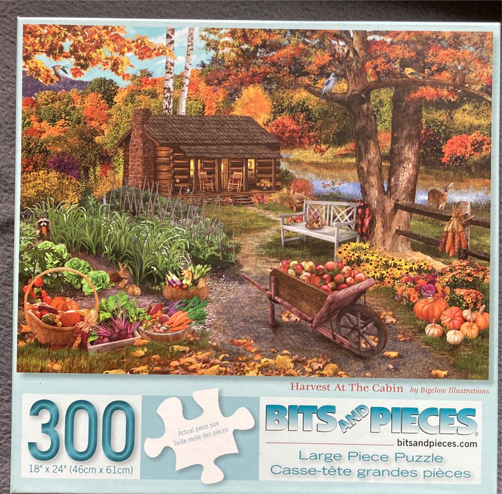 Puzzle Moment: Highland Cattle