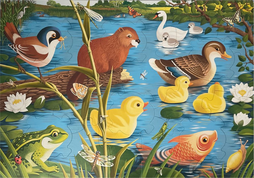 Pond Life - Ravensburger puzzle collectible [Barcode 666273054524] - Main Image 2