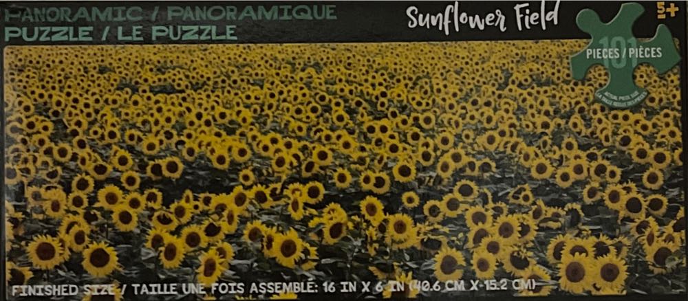 Foxy Fox Outfoxes The Fox Hunters