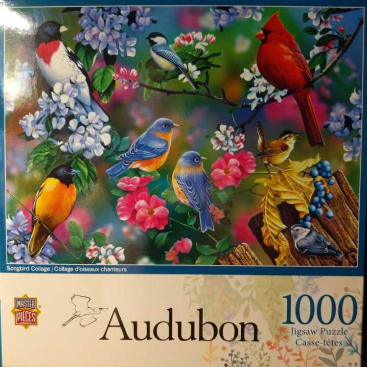 The Amazing Spider Man