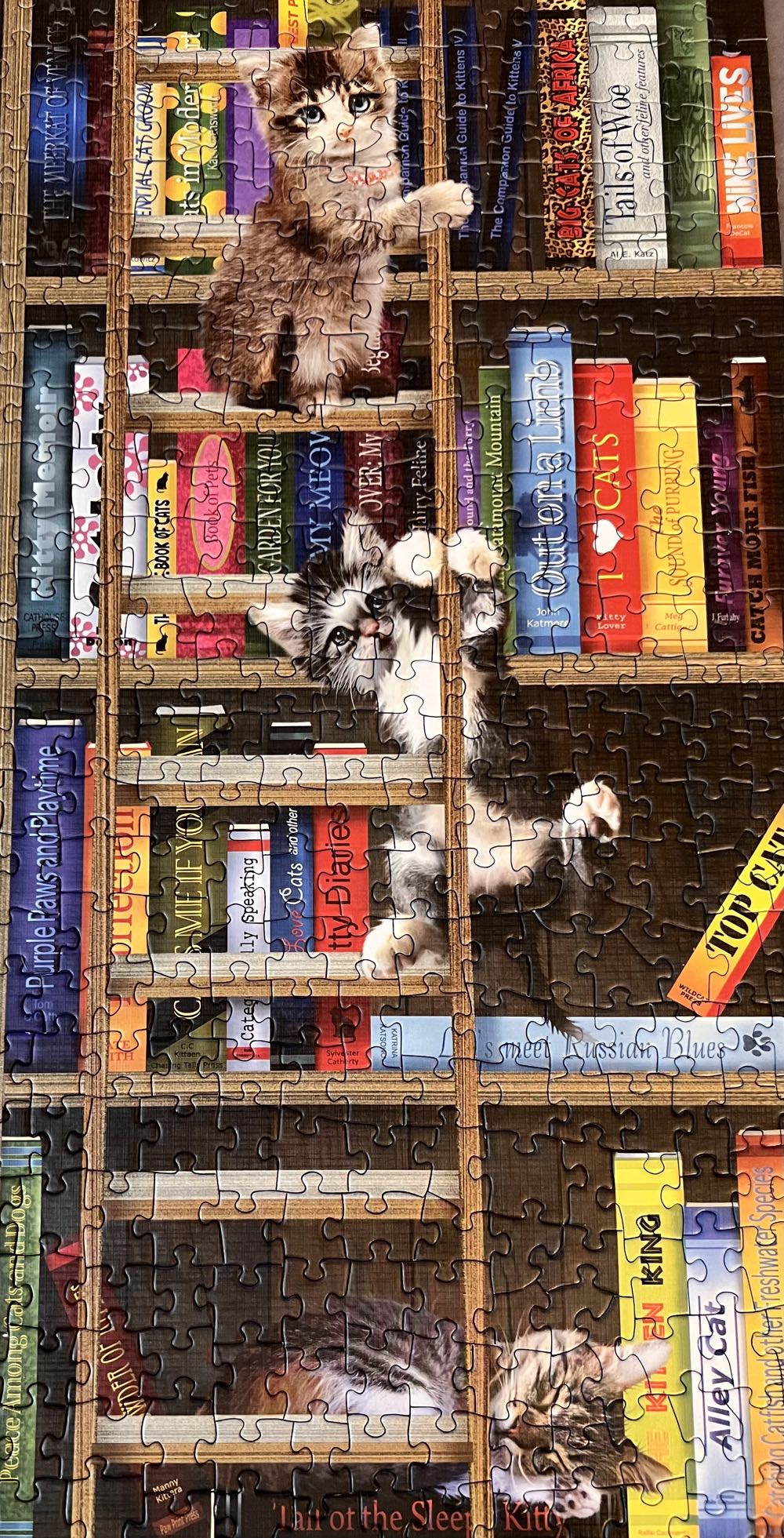 Kitty Librarians - Cobble Hill puzzle collectible [Barcode 625012803342] - Main Image 3