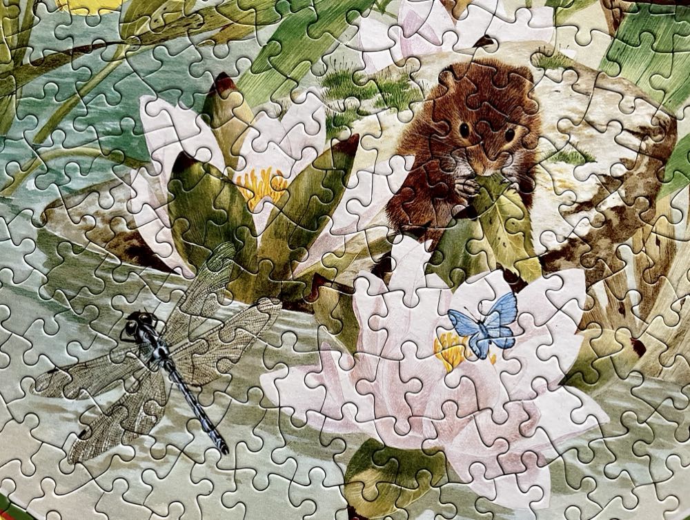 Lily Pond 🔴 🟦 - Milton Bradley (MB) puzzle collectible [Barcode 5010993628070] - Main Image 3