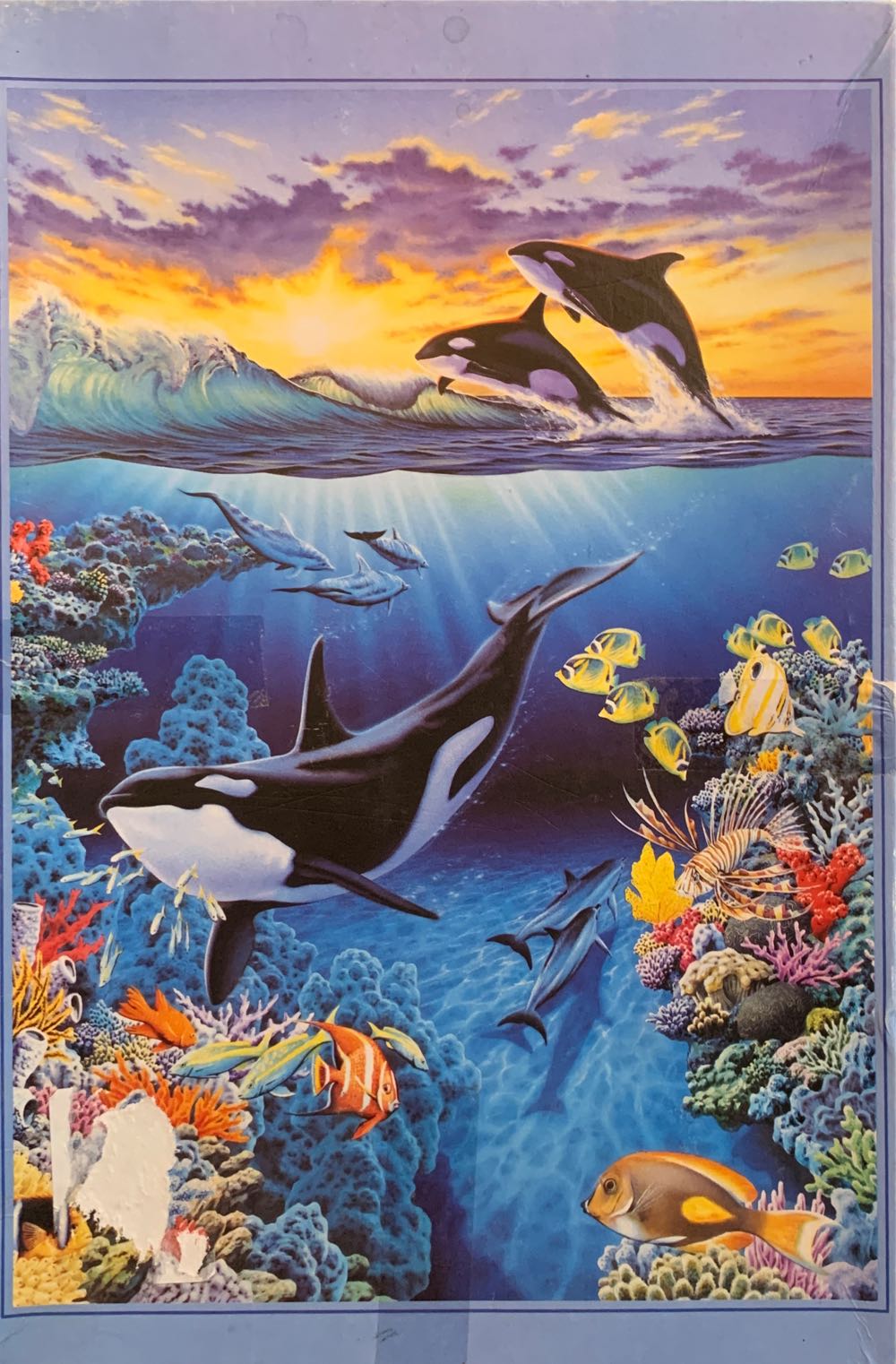 Gelini’s: Gelini On Lunch Break