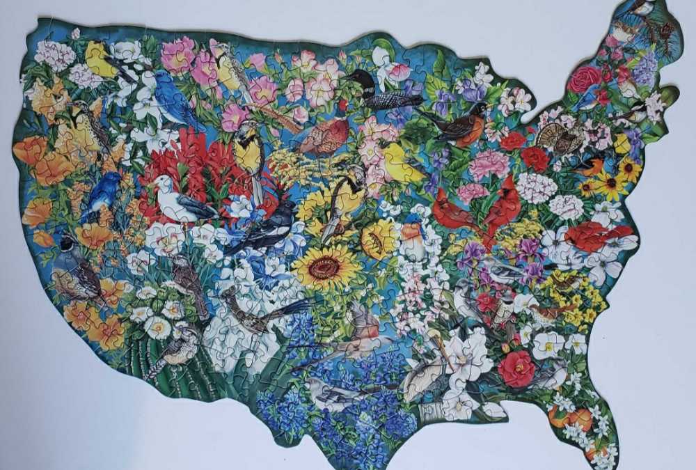 Birds And Blooms - Bits & Pieces puzzle collectible [Barcode 704812481421] - Main Image 2