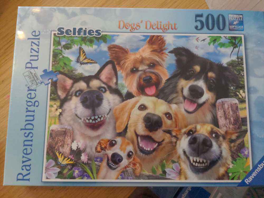 Something Smells Fishy 🐠🐟🐡