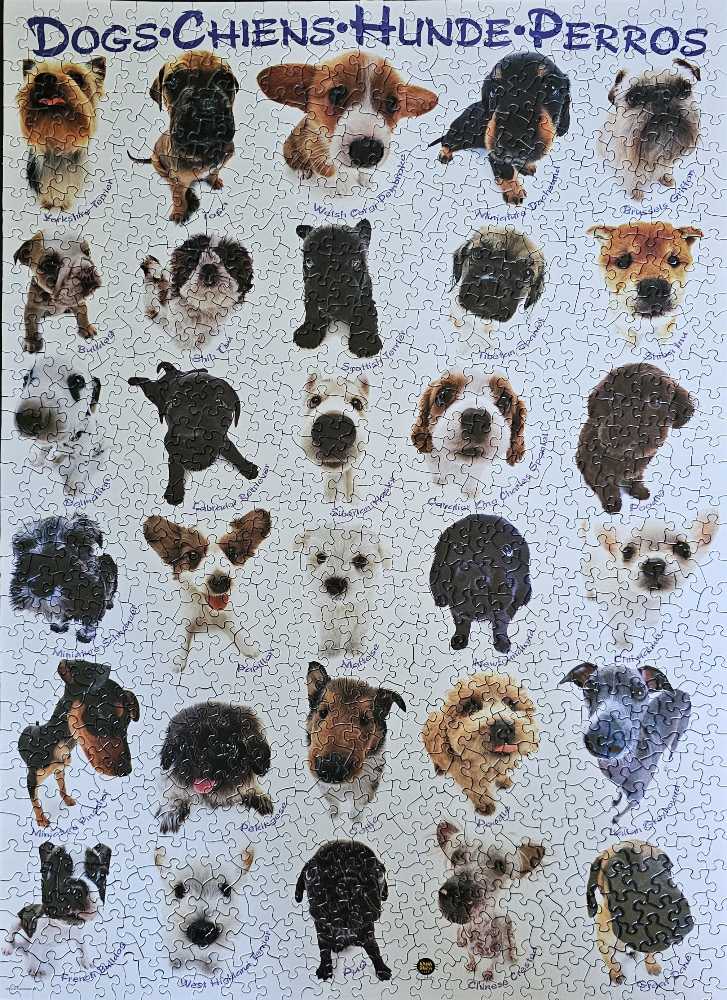 Dogs - EuroGraphics puzzle collectible [Barcode 628136615105] - Main Image 2