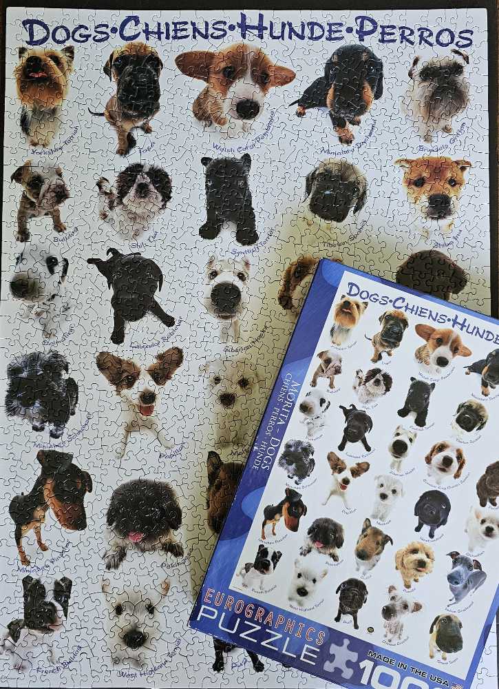 Dogs - EuroGraphics puzzle collectible [Barcode 628136615105] - Main Image 3