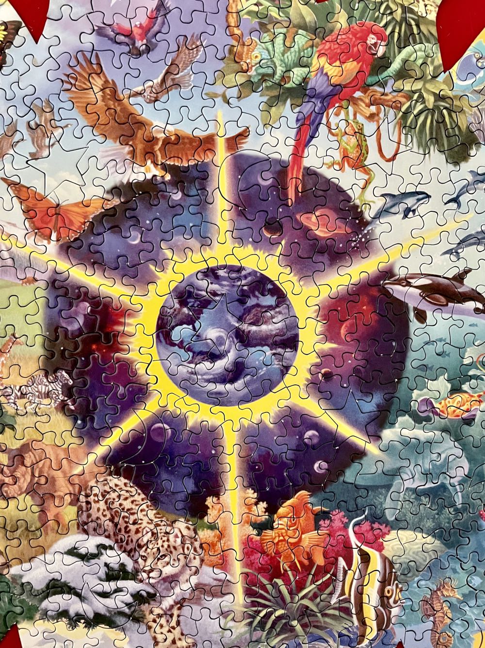 All Things Under The Sun - SunsOut puzzle collectible [Barcode 796780901230] - Main Image 3