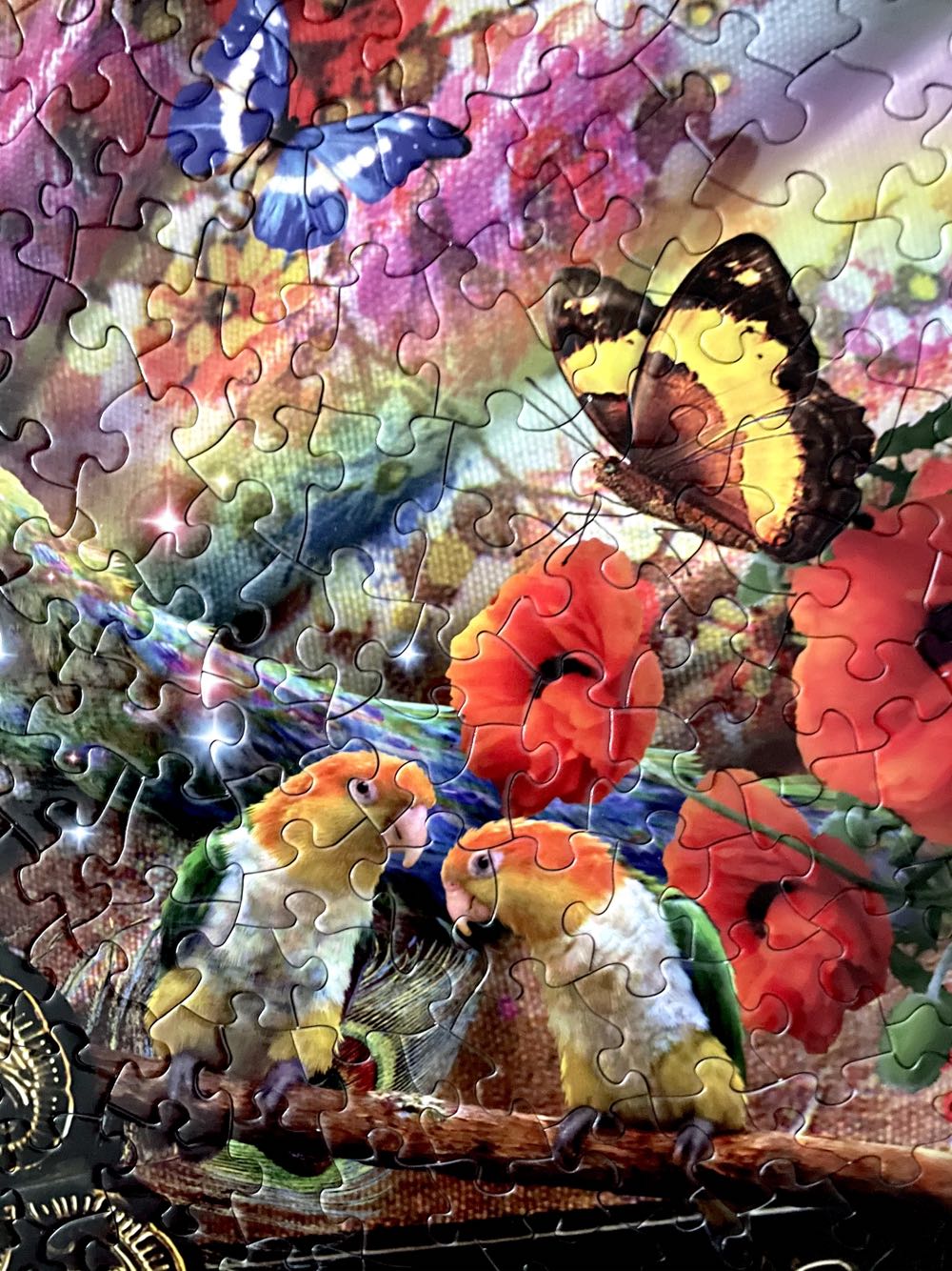 Erika’s Dream - SunsOut 🇺🇸 puzzle collectible [Barcode 796780955165] - Main Image 4