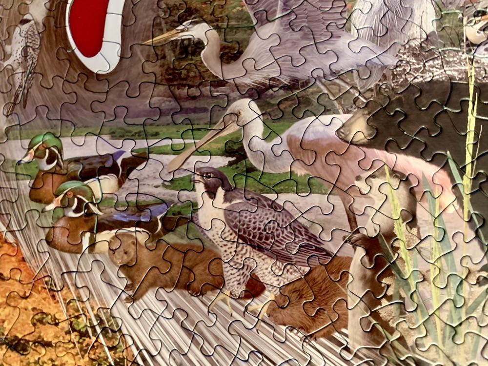 Blue Heron - SunsOut puzzle collectible [Barcode 796780951785] - Main Image 3