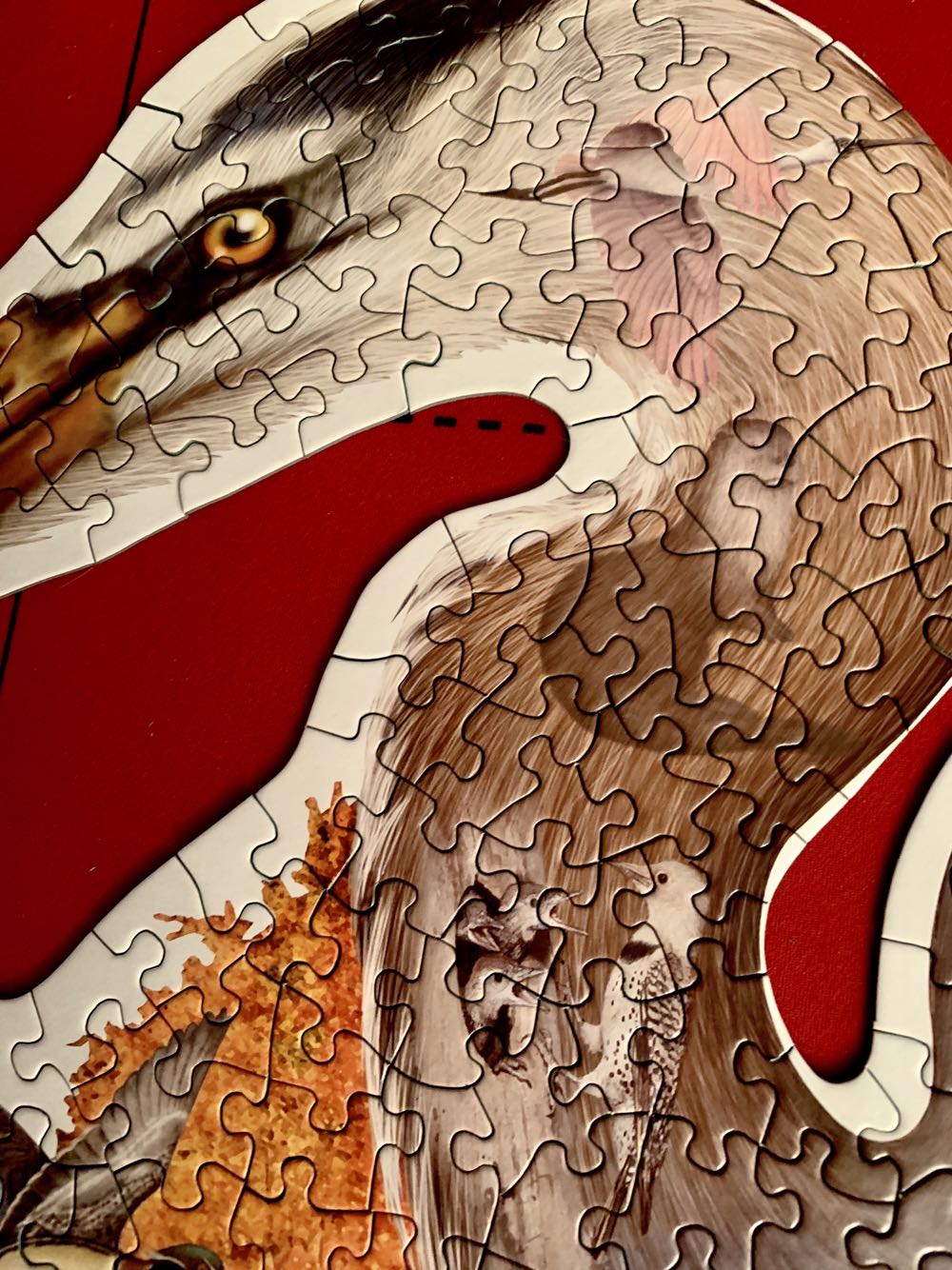 Blue Heron - SunsOut puzzle collectible [Barcode 796780951785] - Main Image 4