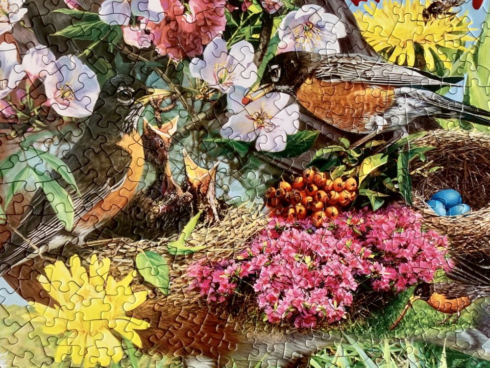 Robin Red Breast - Bits & Pieces 🇺🇸 puzzle collectible [Barcode 704812463137] - Main Image 3