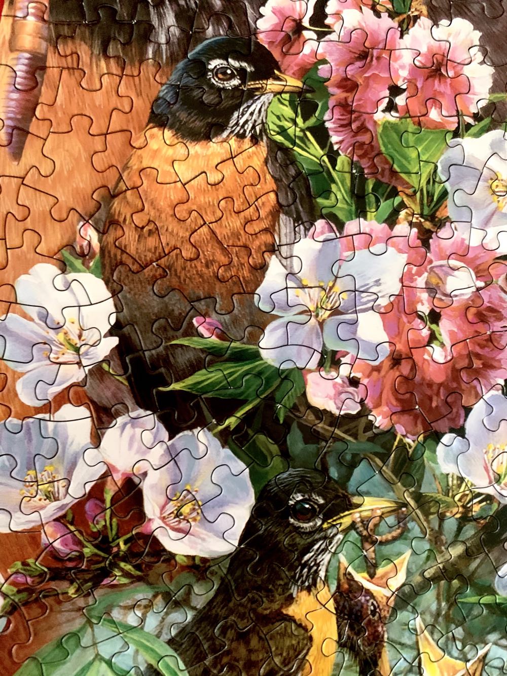 Robin Red Breast - Bits & Pieces 🇺🇸 puzzle collectible [Barcode 704812463137] - Main Image 4