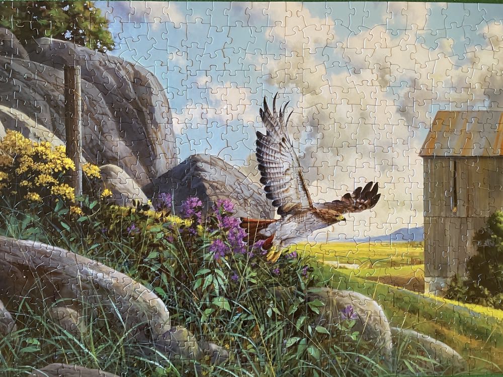 Take Off  - Cobble Hill puzzle collectible [Barcode 625012850643] - Main Image 2