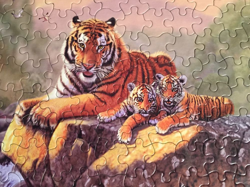 Majestic Tiger - NEW!-Selling  - White Mountain Puzzles puzzle collectible [Barcode 724819249527] - Main Image 4