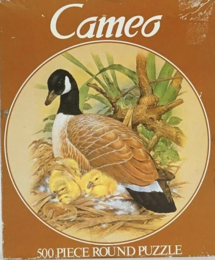 Red Barron German Plane