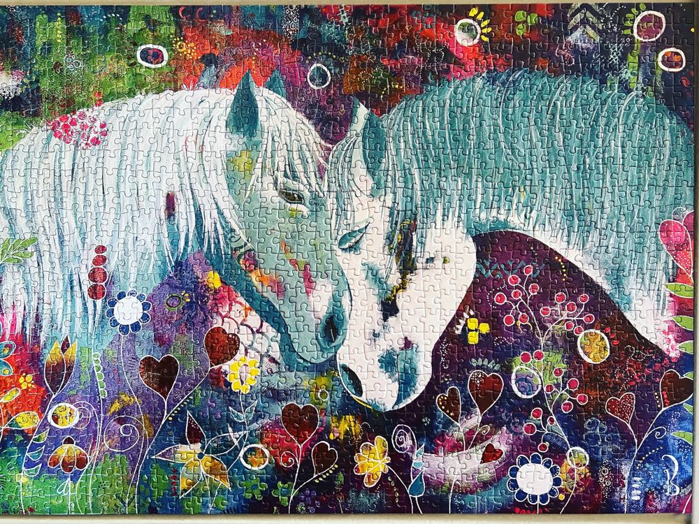 Symbiose - Jacarou Puzzles puzzle collectible [Barcode 034966226815] - Main Image 2