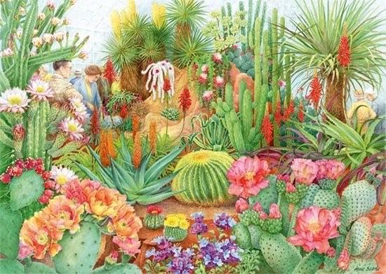 The Flower Show Desert Plants - Falcon de luxe puzzle collectible [Barcode 8710126112540] - Main Image 2
