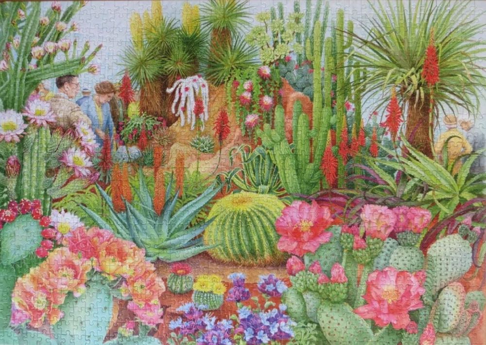 The Flower Show Desert Plants - Falcon de luxe puzzle collectible [Barcode 8710126112540] - Main Image 3