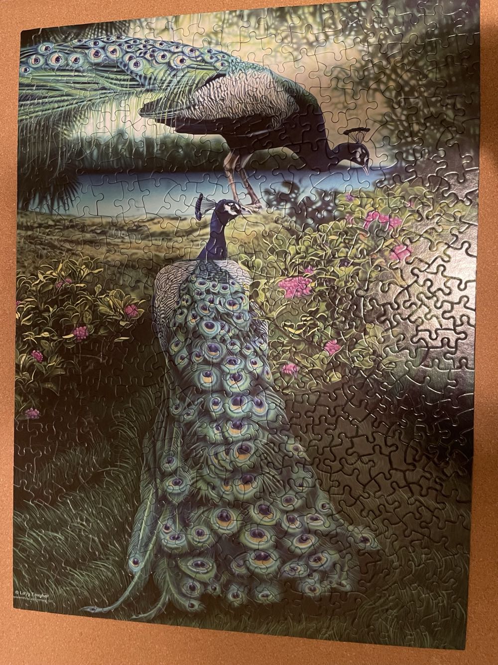 A Pair Of Peacocks - SunsOut 🇺🇸 puzzle collectible [Barcode 796780471504] - Main Image 2