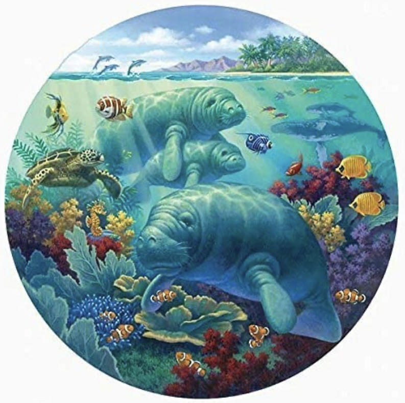 Manatee Beach - SunsOut puzzle collectible [Barcode 796780559684] - Main Image 2