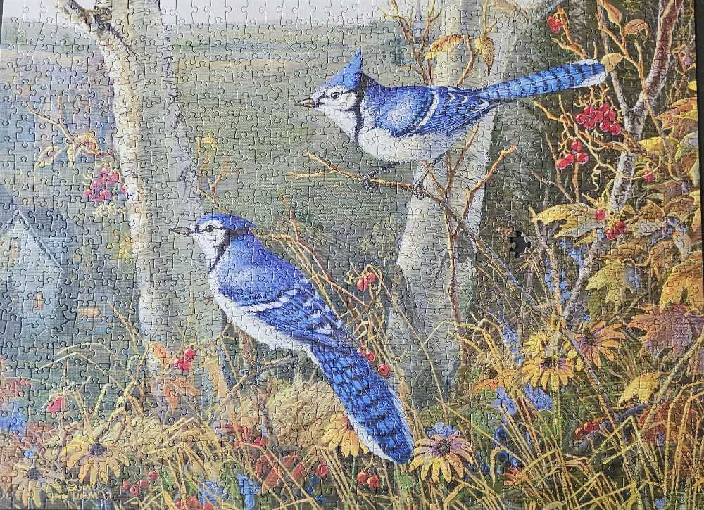 Blue Jays - Cobble Hill puzzle collectible [Barcode 625012800211] - Main Image 2