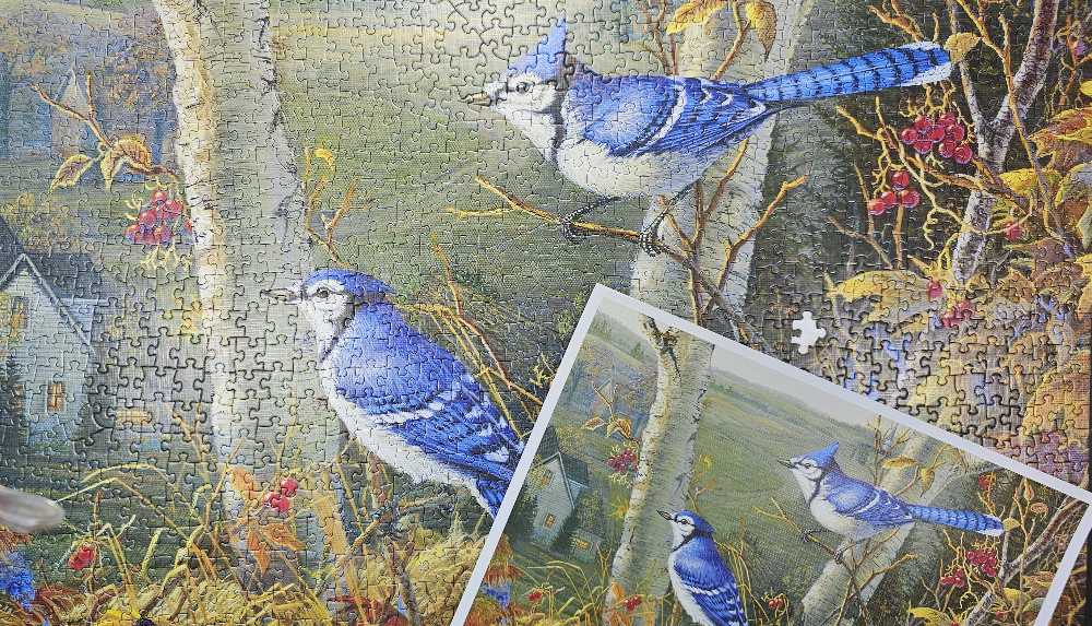 Blue Jays - Cobble Hill puzzle collectible [Barcode 625012800211] - Main Image 3