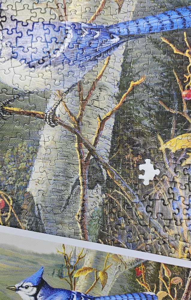 Blue Jays - Cobble Hill puzzle collectible [Barcode 625012800211] - Main Image 4