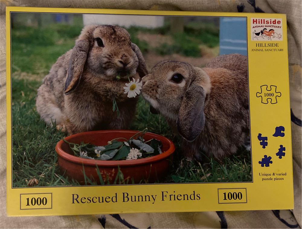 Image 40743