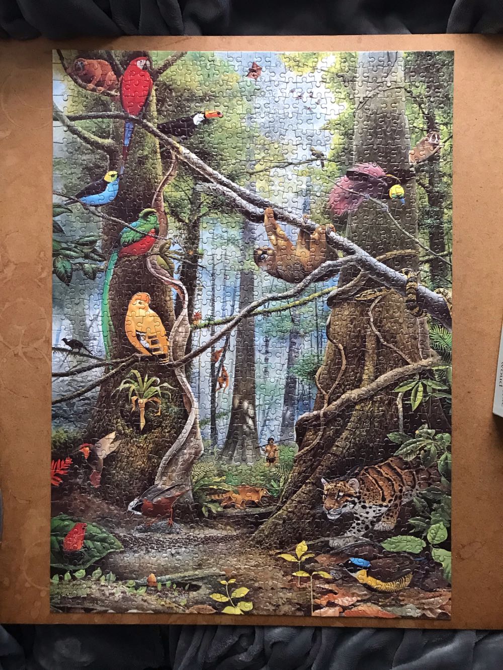 The Threatened Forest - No Name🇬🇧 puzzle collectible - Main Image 2