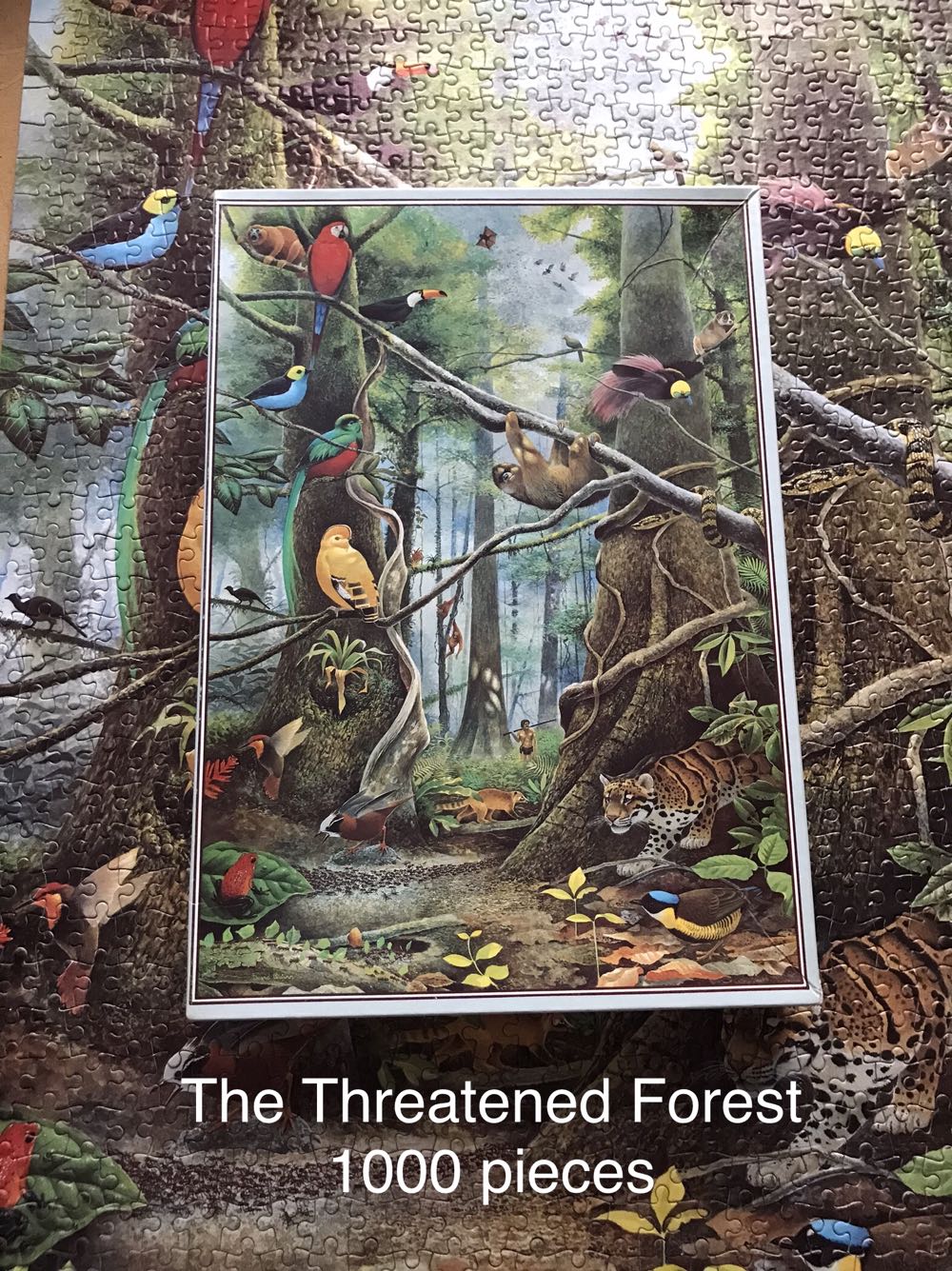 The Threatened Forest - No Name🇬🇧 puzzle collectible - Main Image 3