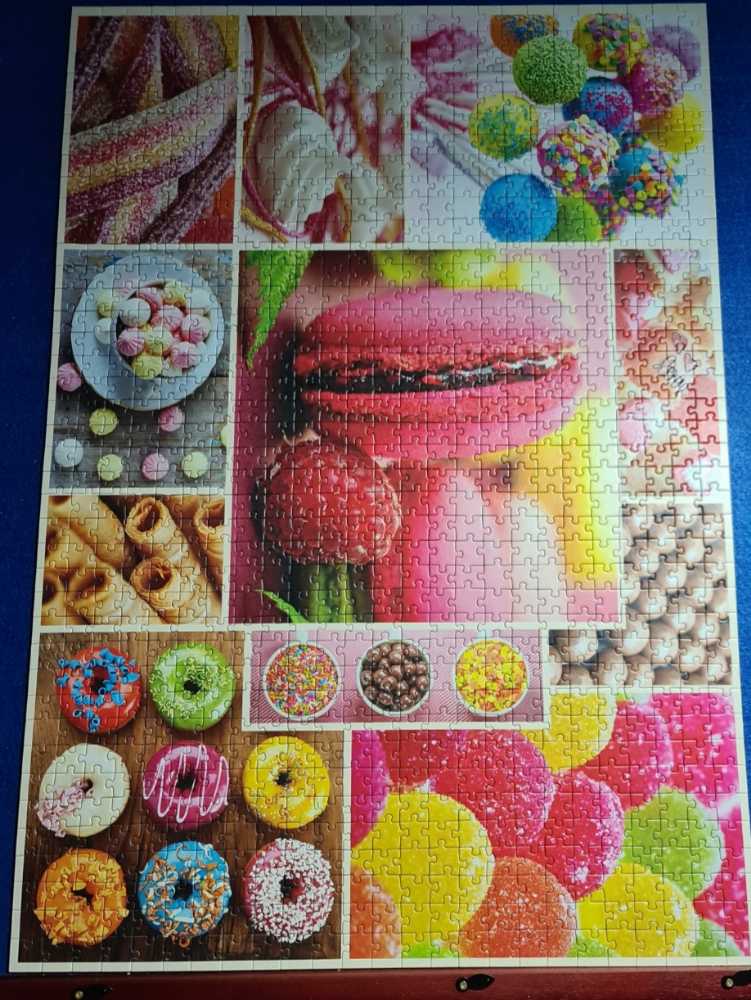 No Dogs Allowed 🚫🐶