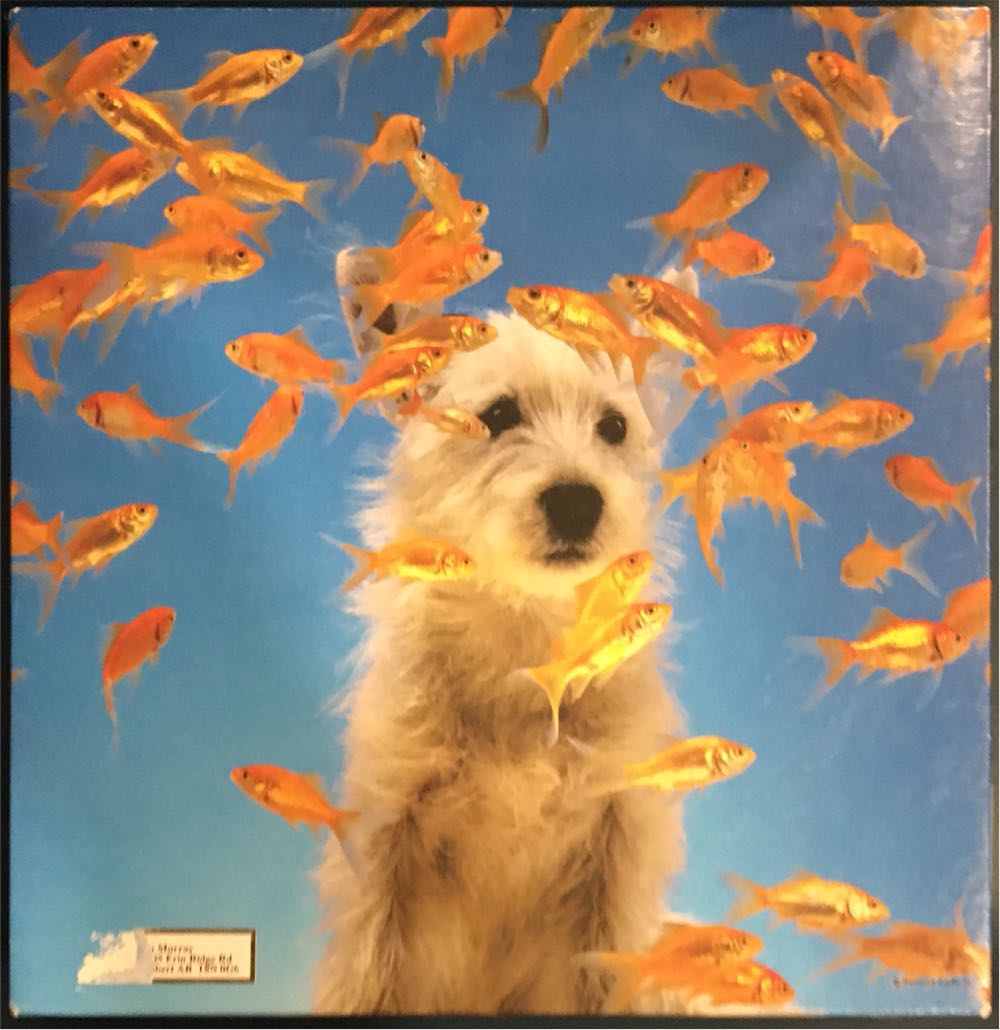 Jan van Haasteren. De Golfbaan/The Golf Course