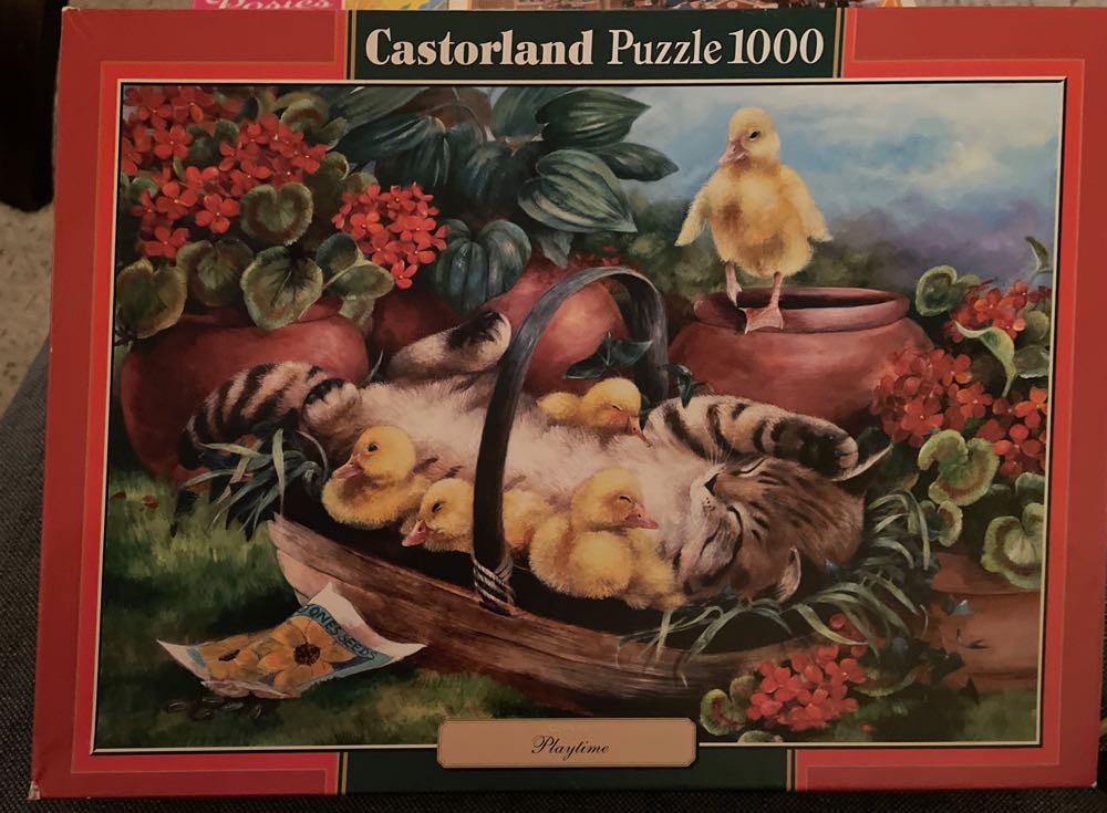 Fireworks Over Seattle