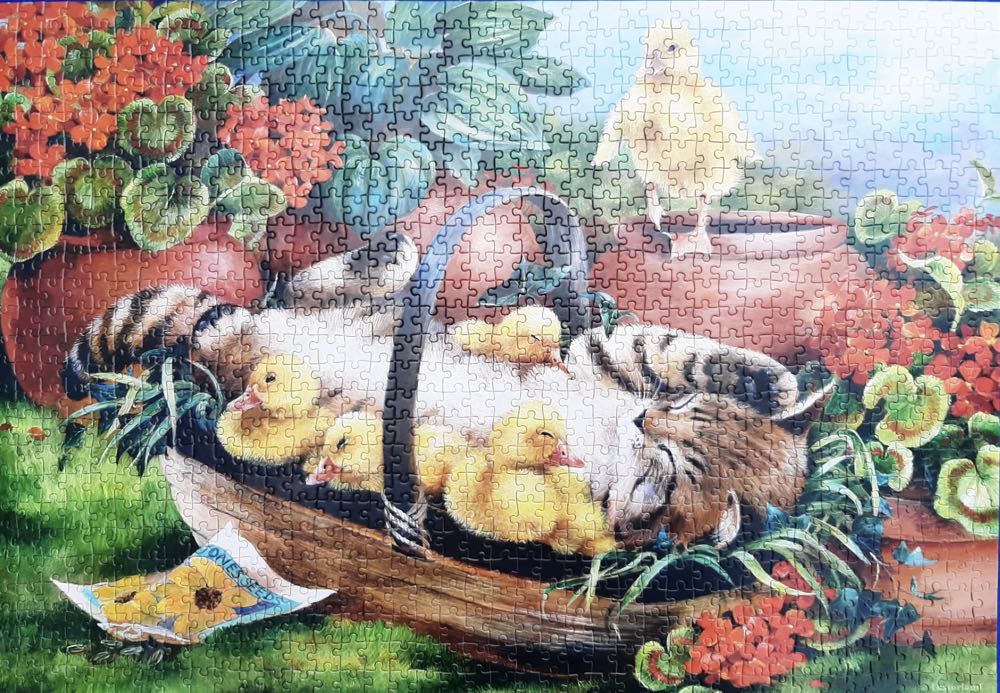 Playtime 🟦 - Castorland puzzle collectible [Barcode 5904438102877] - Main Image 3