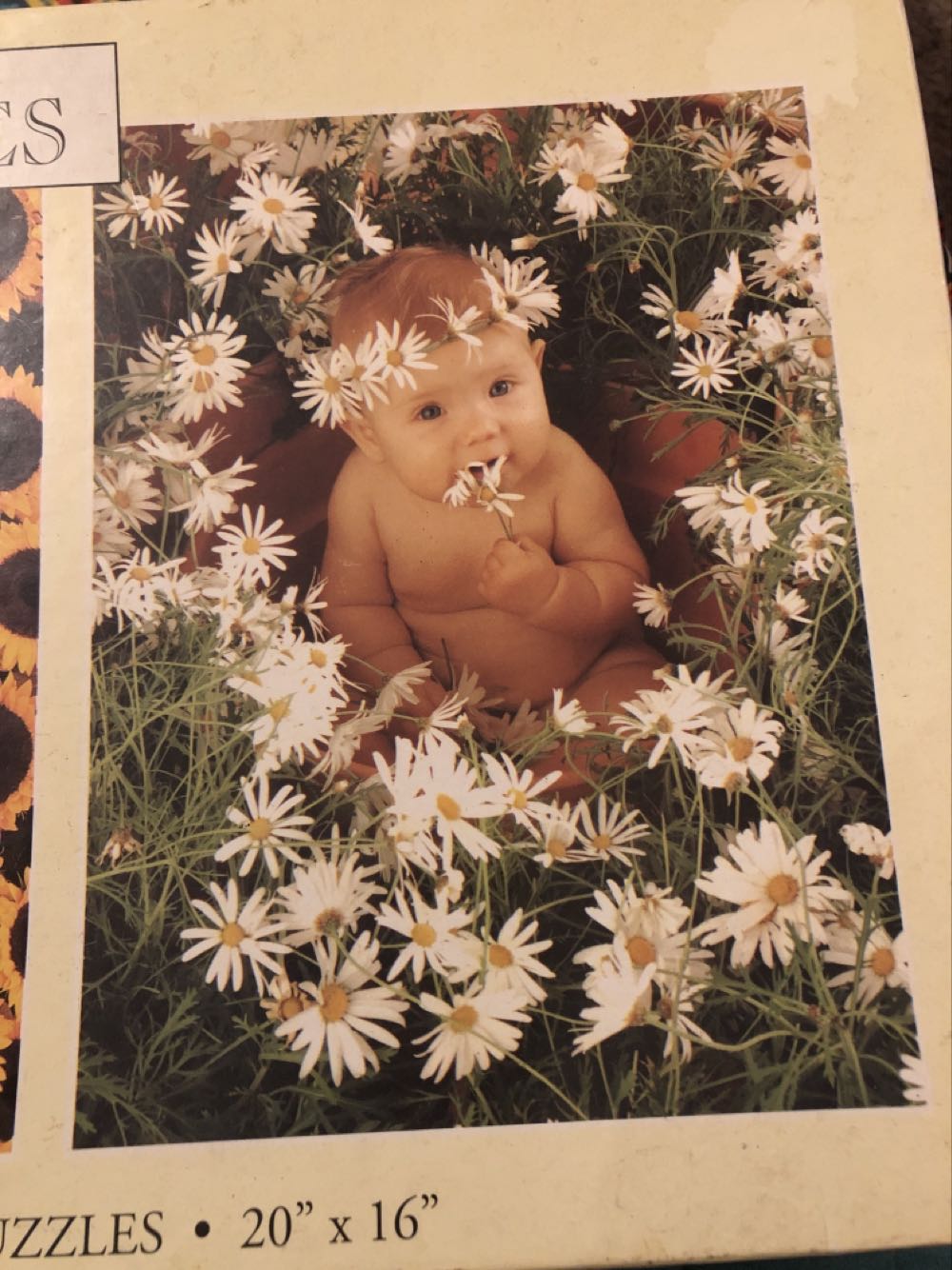 Anne Geddes  puzzle collectible [Barcode 021081036214] - Main Image 4