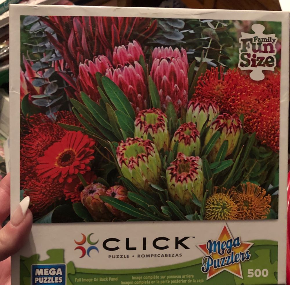 Pieces of History De Piraten