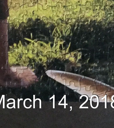 The Hobbit: An Unexpected Journey - Go! Games puzzle collectible [Barcode 400069343382] - Main Image 3