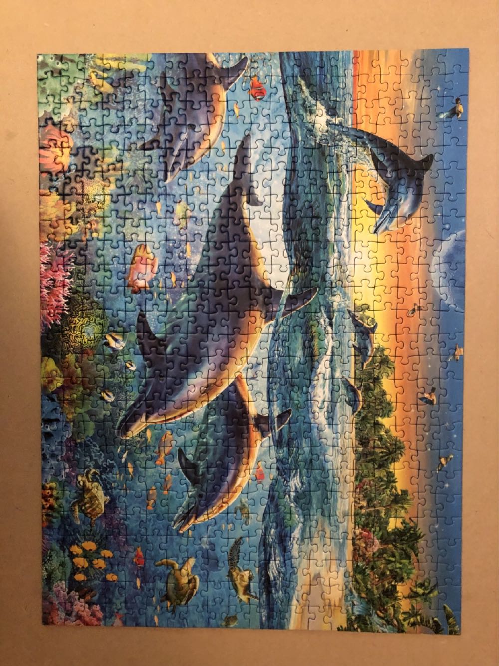 Dolphin Cove - Ravensburger puzzle collectible [Barcode 4005556142101] - Main Image 2