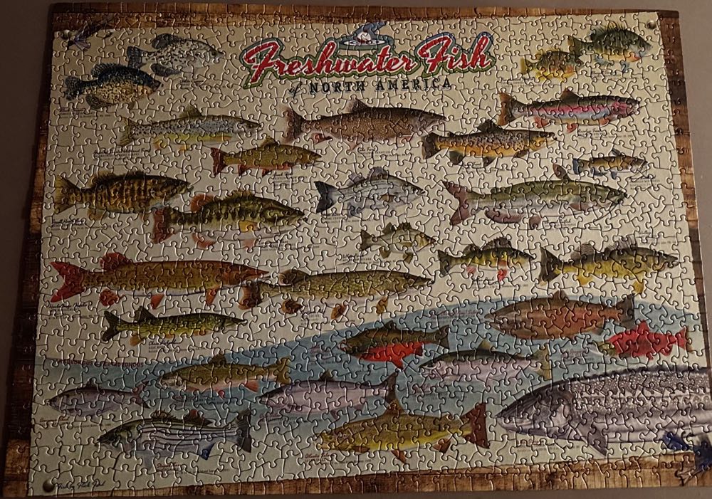 Freshwater Fish Of North America  puzzle collectible [Barcode 625012517935] - Main Image 2