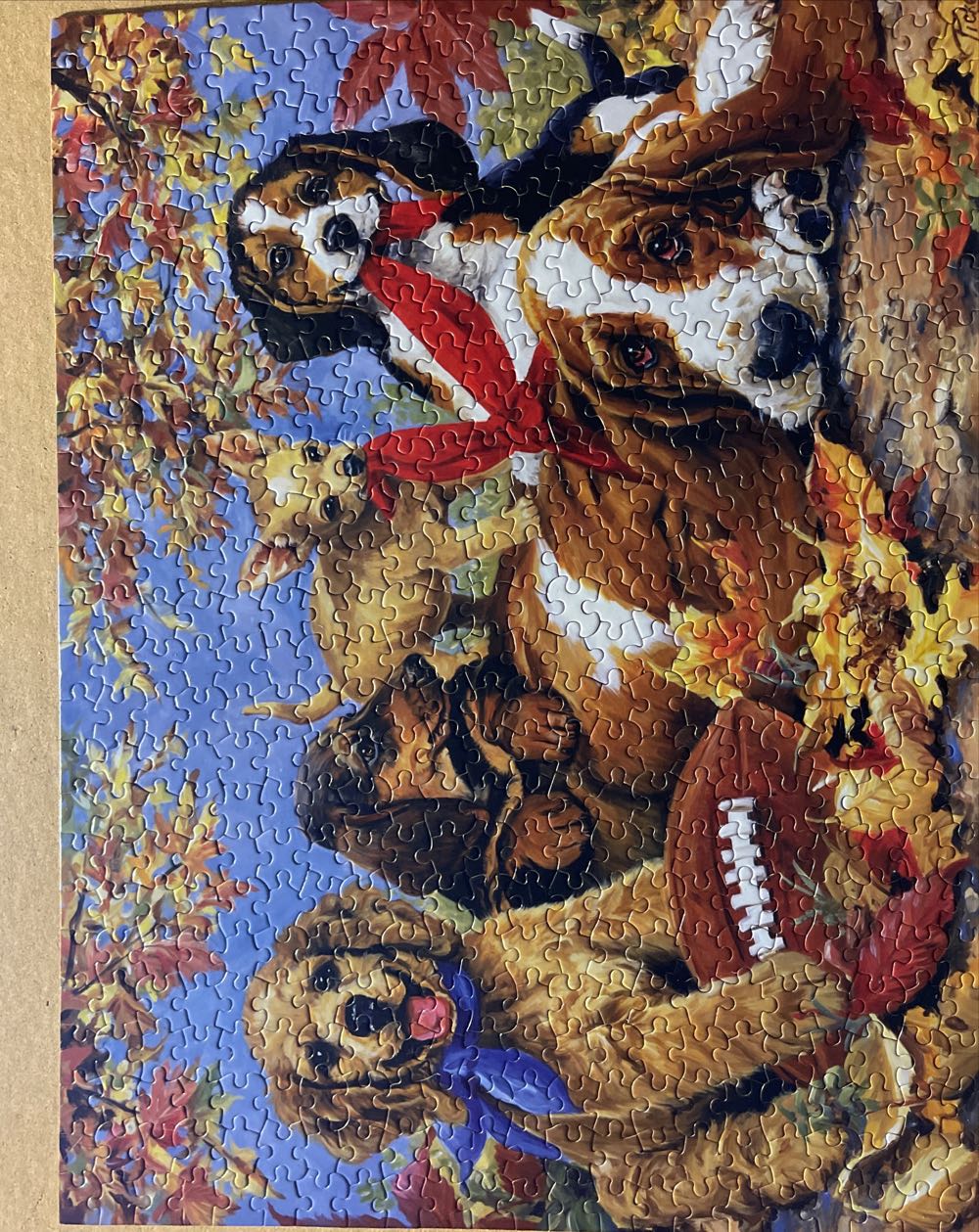 Let’s Play Football  puzzle collectible [Barcode 773392081611] - Main Image 2