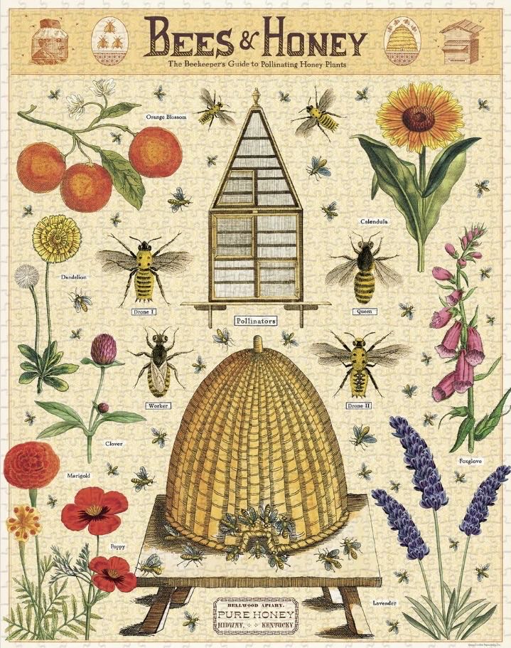 Bees & Honey - Cavallini & Co. puzzle collectible [Barcode 9781635448696] - Main Image 2